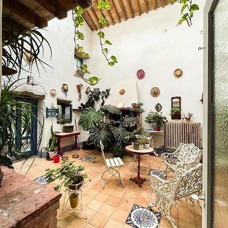 Madeleine: Luxury In Italy