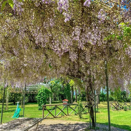 Madeleine: Luxury In Italy Villa Castel Giorgio