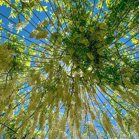 Βίλα Madeleine: Luxury In Italy Castel Giorgio