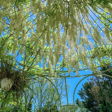 ヴィラ Madeleine: Luxury In Italy *