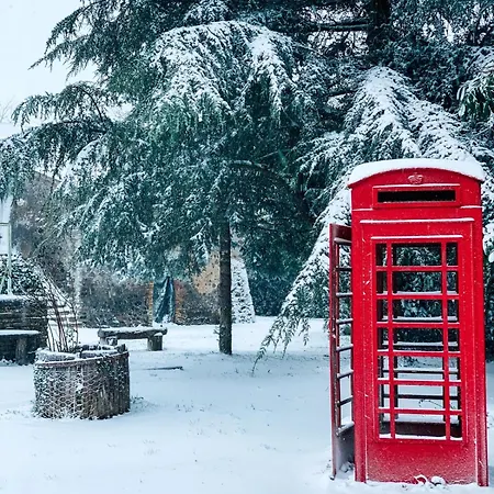 Madeleine: Luxury In Italy