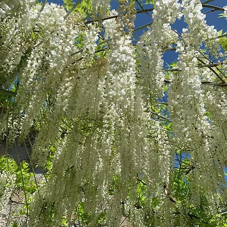 Madeleine: Luxury In Italy Castel Giorgio