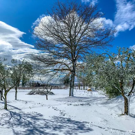 Madeleine: Luxury In Italy ヴィラ