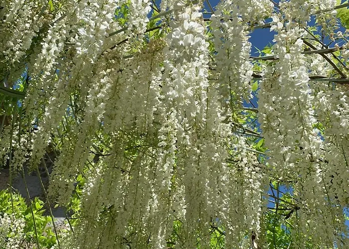 Madeleine: Luxury In Italy Castel Giorgio